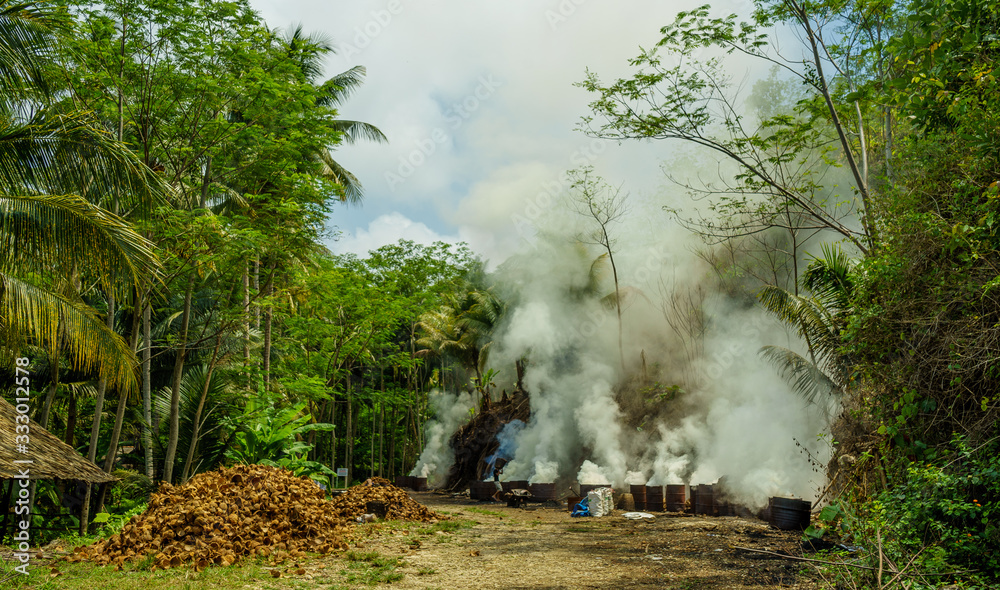 Coconut husks burning in a clearing inside a Philippine plantation.